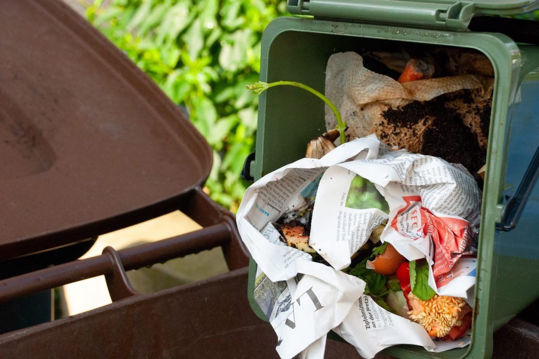 Biotonne mit Küchenabfällen und Papiertüten zeigt Bioabfallsammlung