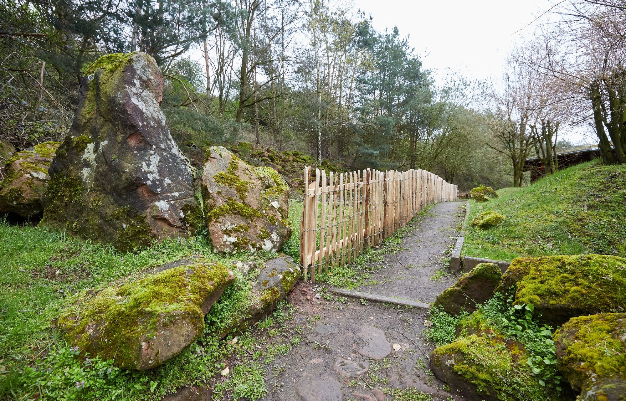 Befestigter Lernpfad im ZAK Freilandklassenzimmer mit natürlicher Steinkulisse
