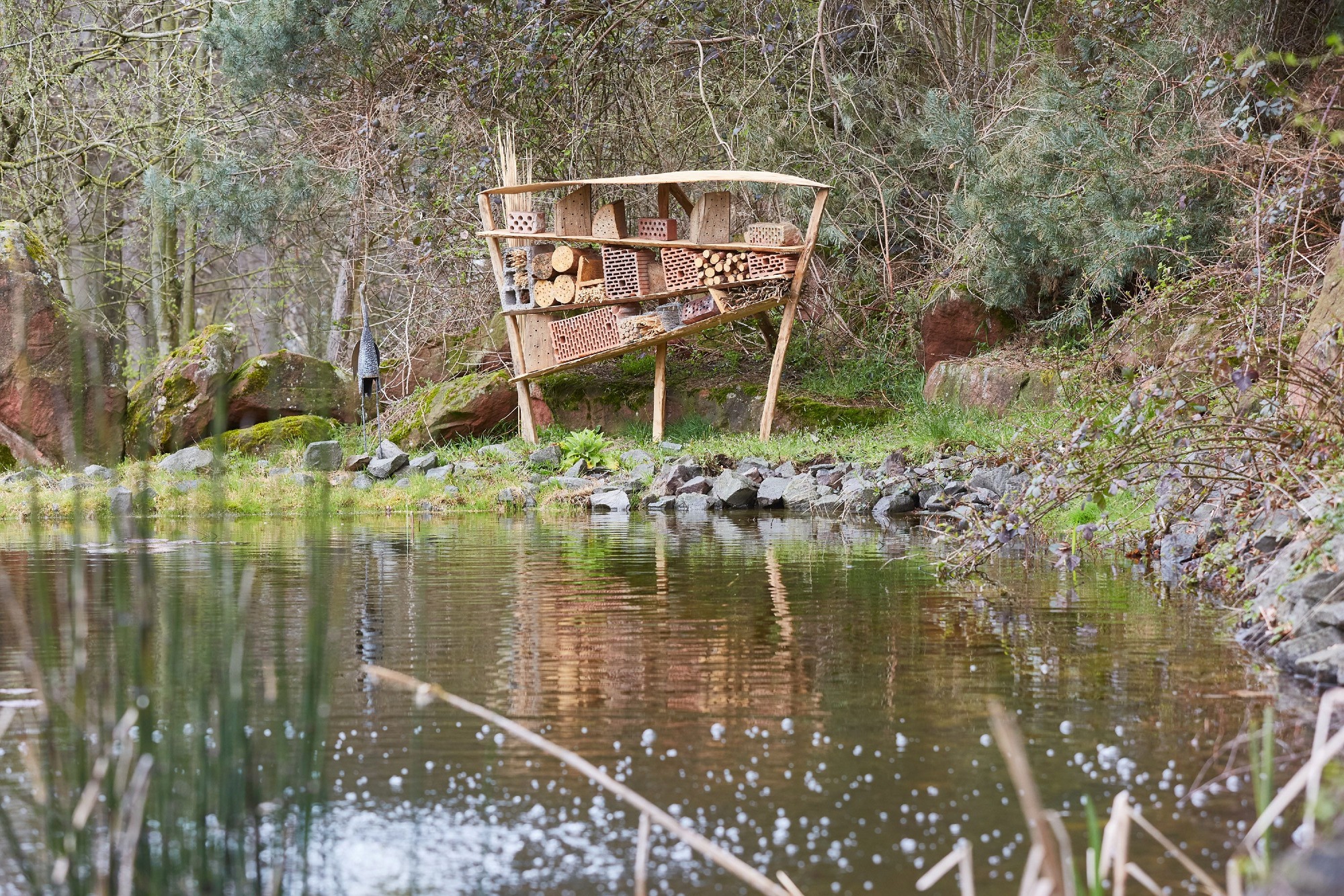 Naturteich mit Holzsteg im ZAK Umwelterlebniszentrum