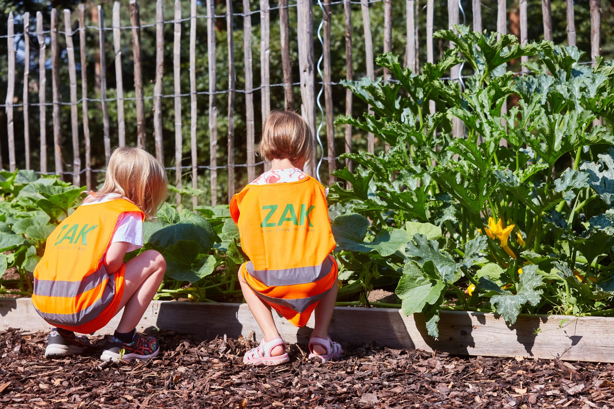 Kinder in orangefarbenen Warnwesten beim Gärtnern und Gemüseanbau im Umwelterlebniszentrum