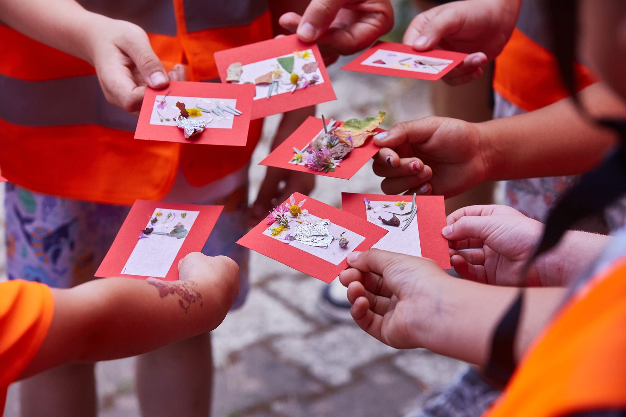 Kinder in orangefarbenen Westen beim Lernen mit Bildkarten zu Abfalltrennung und Umweltthemen