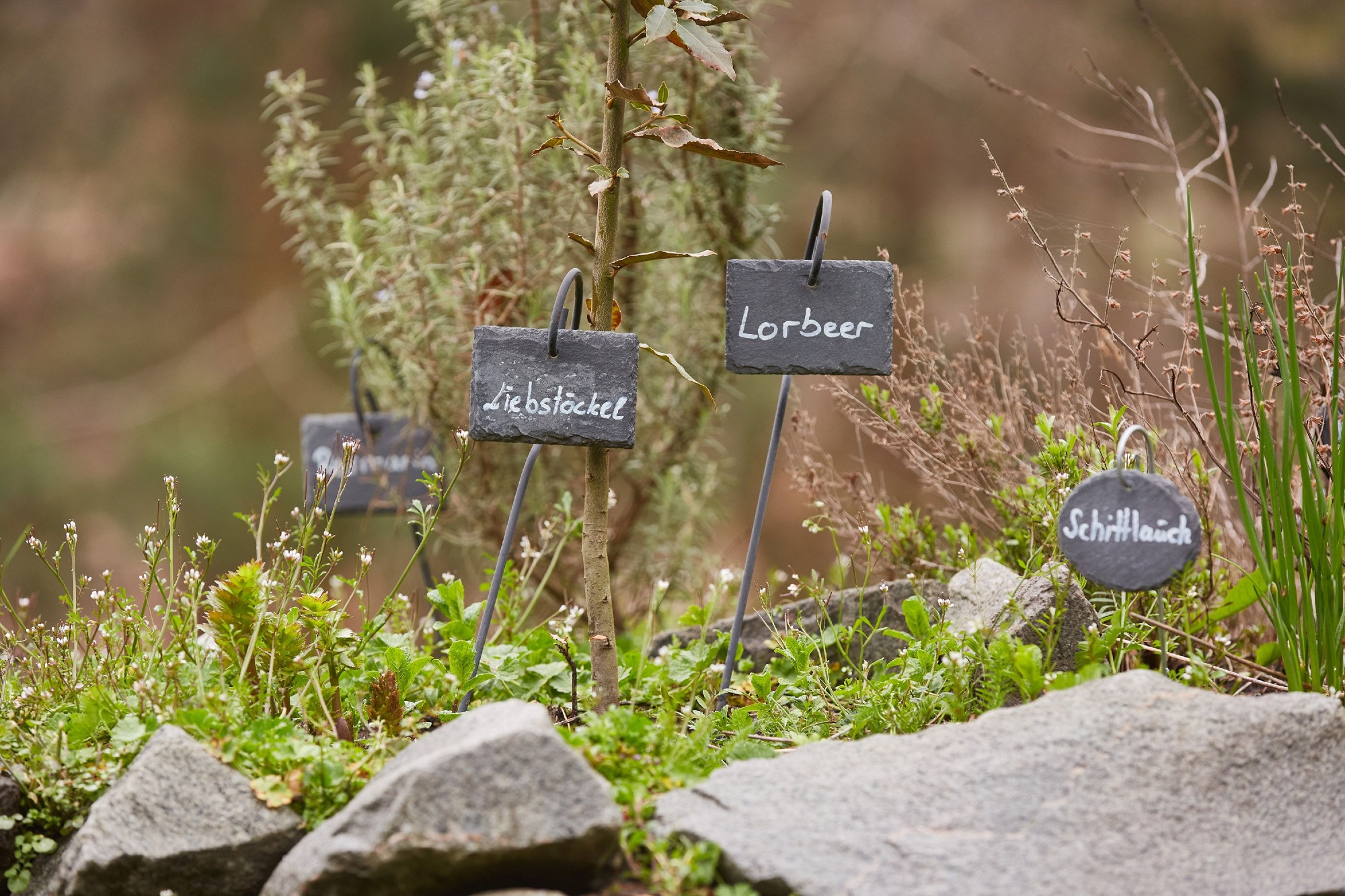 Beschrifteter Lehr-Kräutergarten im ZAK Umwelterlebniszentrum
